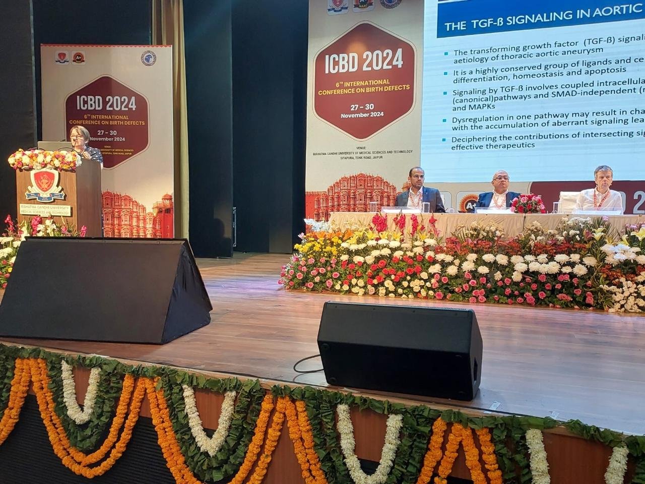 As faculty in conference in Jaipur 
